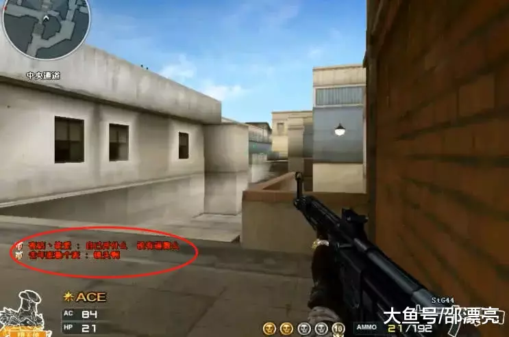 Team Liquid VALORANT 向 Serial 告别